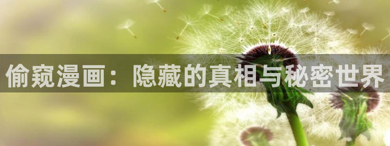 羞羞漫画渗透测试：偷窥漫画：隐藏的真相与秘密世界