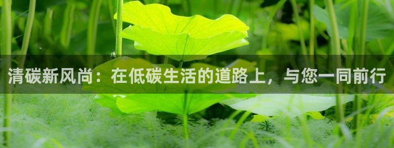 羞羞漫画主页入口：清碳新风尚：在低碳生活的道路上，与您一同前行